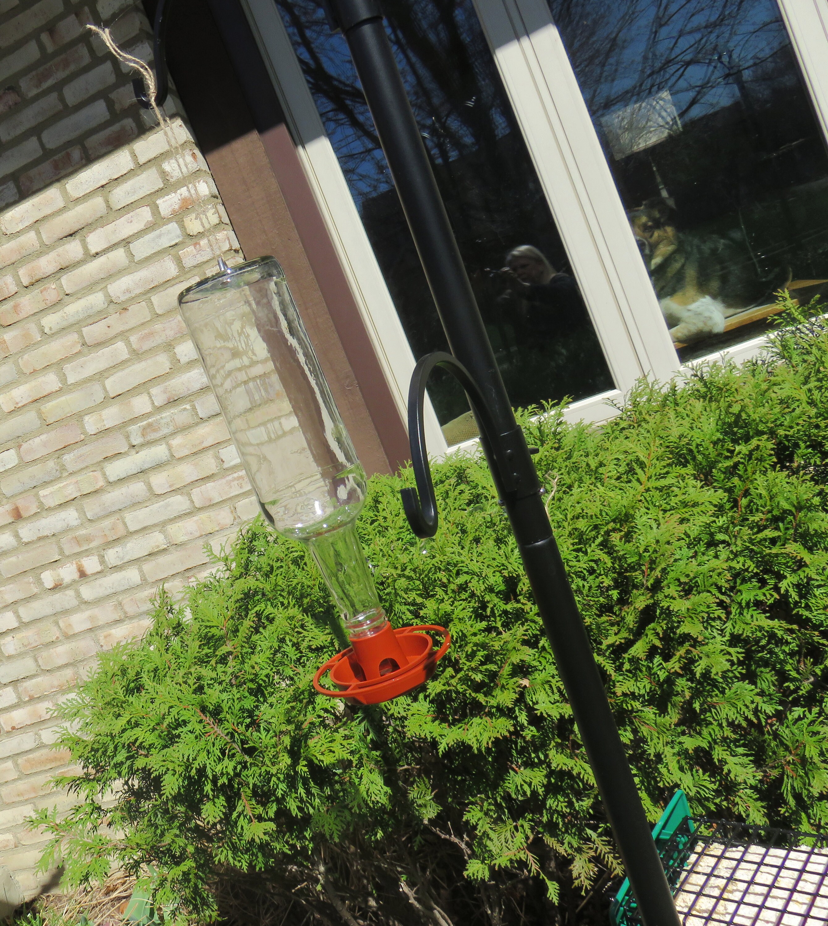 Unique Feeders Bird Feeder Outdoor Decor Housewarming Gift Etsy