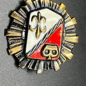 Pin de esmalte vintage con escudo heráldico de flor de lis, insignia dorada, insignia de organización o cívica de mediados de siglo.