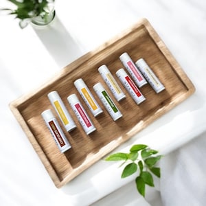 Natural Lip Balm Gift Set Stocking Stuffer Christmas Gift Basket Idea Under 5 Lip Treatment Care Package Birthday Party Favor Chapstick