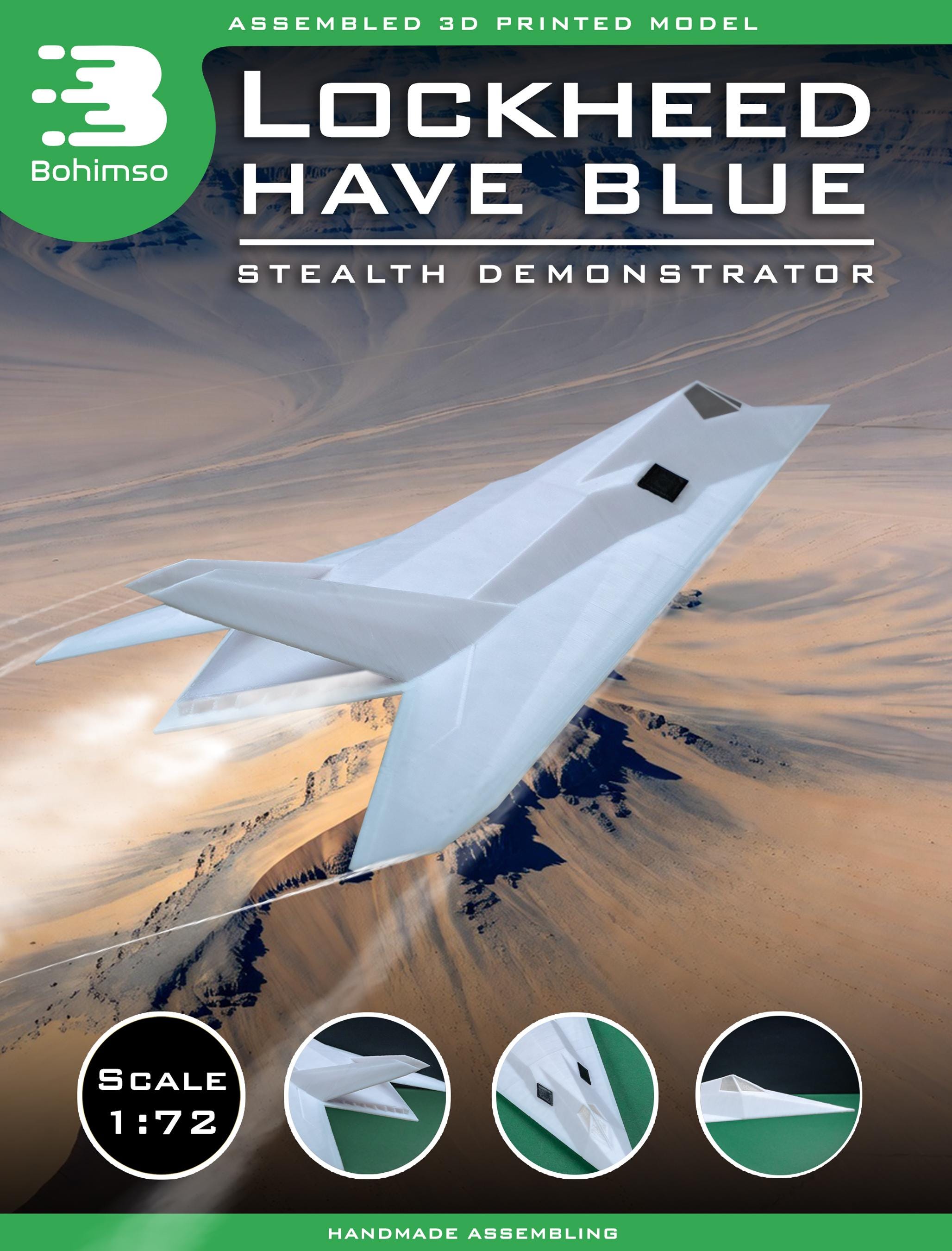 Lockheed Have Blue Demonstrator | Stealth Test Aircraft | F-117