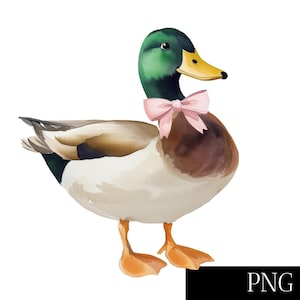 Watercolor Wild Duck Clipart - Mallard Duck with Pink Bow - PNG Digital Download - Baby Shower Invite, Girl Birthday, Printable Clip Art