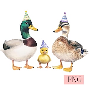 Mallard Duck Family Watercolor Clipart - Mallard Duck PNG - Duck Birthday Party invite - Nursery Wall Art - Woodland Animal Illustration