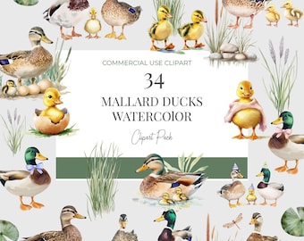 Mallard Duck Watercolor Clipart Bundle, Baby Shower (PNG Digital Download)