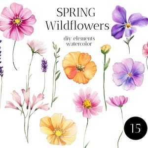 Wild flower PNG, Watercolor Wild flower, Flower Clipart, Watercolor Flower PNG, Wildflower Clipart, LUSH Wildflowers