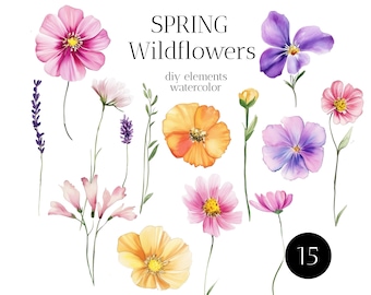 Watercolor Wildflower Clipart Bundle: 15 PNG Floral Designs (Digital Download)