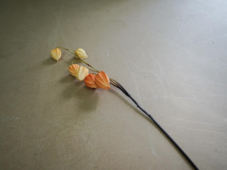 Faux Chinese Lantern Plant Stem Autumn Orange Accent Etsy UK