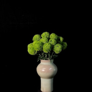 Real touch Dianthus Green Trick, Faux Caryophyllaceae, Home/Wedding Décor, Realistic Artificial Flower, Centerpiece, DIY, Floral, Gifts