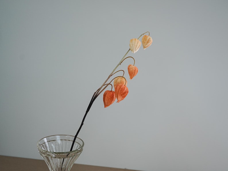 Faux Chinese Lantern Plant Stem Autumn Orange Accent Etsy UK