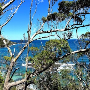 Parque Nacional Booderee, Jervis Bay, NSW Austrália