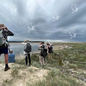 Lookers Comerong Island Nouvelle-Galles du Sud Australie