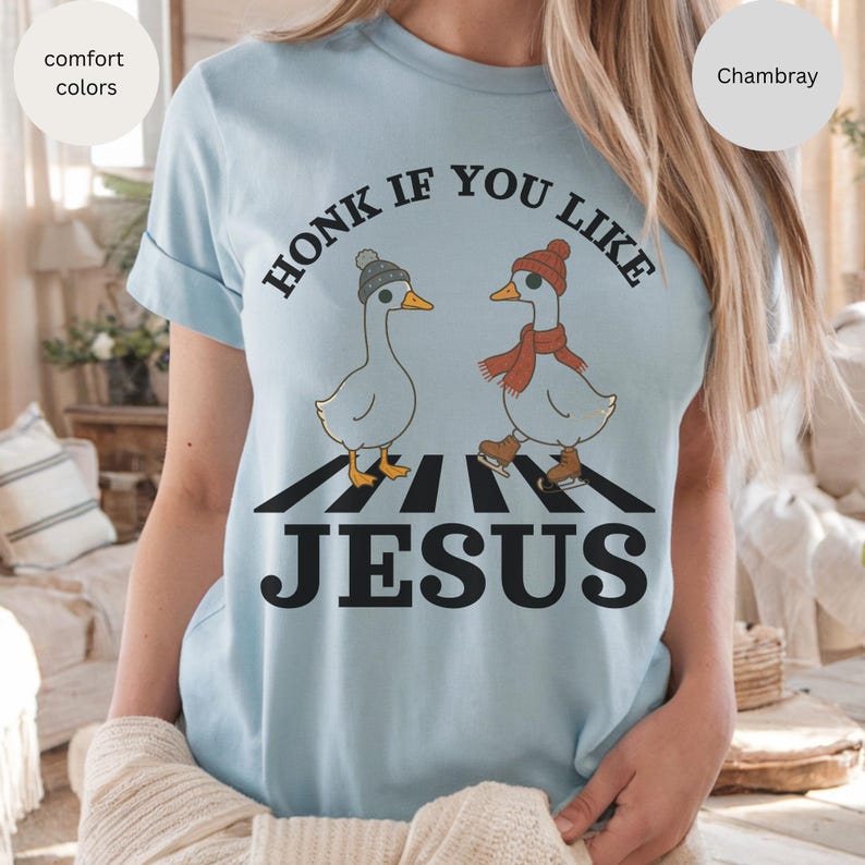 May include: Light blue t-shirt with the text "HONK IF YOU LIKE JESUS". The shirt features a graphic of two geese crossing a crosswalk, one wearing a hat and the other a scarf and ice skates.