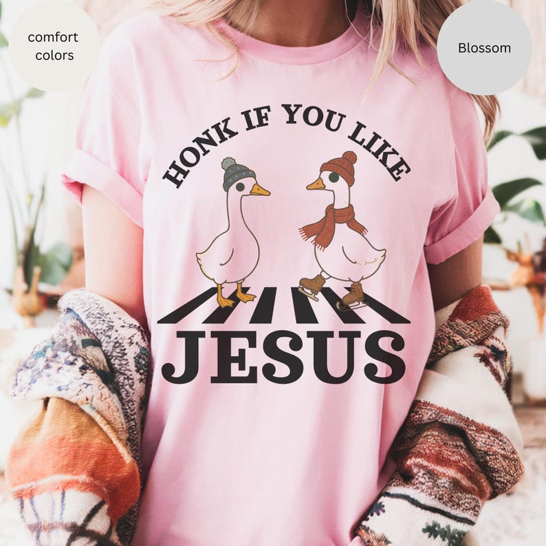 May include: Pink t-shirt with the phrase "HONK IF YOU LIKE JESUS" in black font. The shirt features a graphic of two cartoon geese, one wearing a hat and the other wearing a scarf and ice skates, crossing a crosswalk.