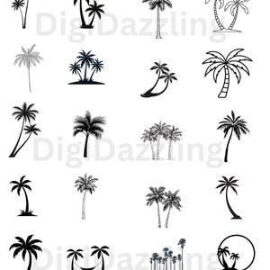 May include: A collection of black and white palm tree illustrations in various styles. The image includes the text "SVG, PNG, EPS, DXF, JPG" at the top and "Digi Dazzling" in the middle.