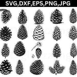 Pinecone Svg, Svg files for Cricut, Pine Svg, Pine tree Svg, Woodland pine cone Svg, Autumn plant Svg, Conifer cone Svg