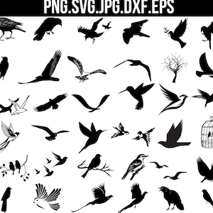 Pássaro SVG, Pássaro Voador Svg, Pássaro Svg, Pássaro Bonito svg, Clipart de Pássaro, Pássaros em Galhos Svg, Silhueta de Pássaro