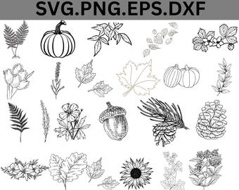 Fall leaves svg Bundle, Fall leaves Svg, Fall leaf Svg, Pumpkin and fall leaves SVG