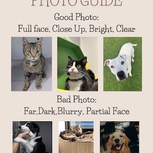 May include: A photo guide with examples of good and bad photos for pet profiles. The good photos show a cat and two dogs with full faces, close-up, bright, and clear. The bad photos show a dog, a cat, and a dog with far, dark, blurry, and partial faces.