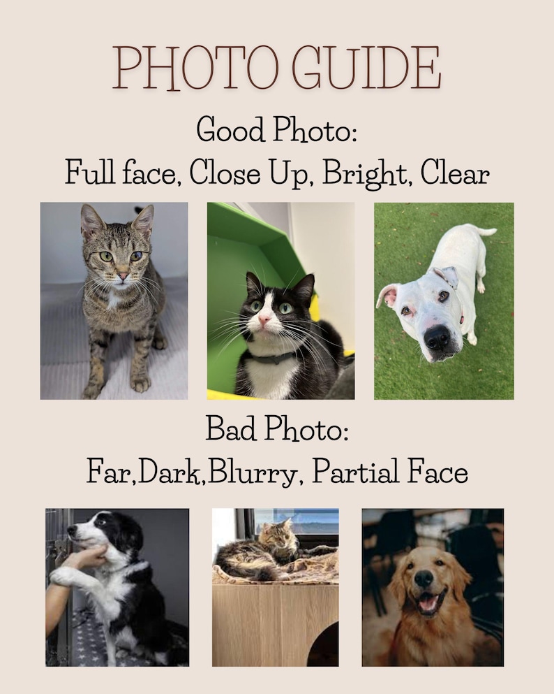 May include: A photo guide with examples of good and bad photos for pet profiles. The good photos show a cat and two dogs with full faces, close-up, bright, and clear. The bad photos show a dog, a cat, and a dog with far, dark, blurry, and partial faces.