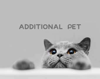 May include: A grey cat with yellow eyes peers over a white surface. The text "ADDITIONAL PET" is displayed in grey letters above the cat. The cat's paws are visible, adding to the playful composition.