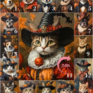 May include: A collage of 17 images featuring cats and dogs dressed in Halloween costumes. The central image shows a cat wearing a witch's hat and a pumpkin necklace. The other images show various animals wearing hats, glasses, and other accessories.