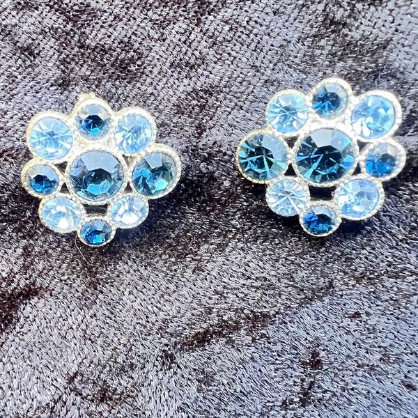 HMN Signed Sparkly Blue Floral Clip-On Earrings