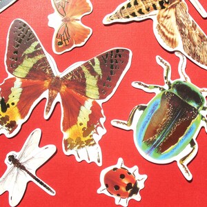 Insectes aériens - Créations artisanales en papier doré à l'emporte-pièce