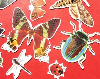 Insectes aériens - Crafts Gold Foil Paper Die Cuts