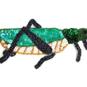 Amazing Grasshopper Multi-Colored Appliqué 6.5" x 3.5"