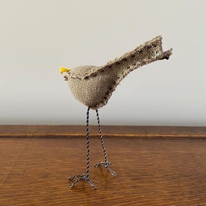 Liten fågel bild 4