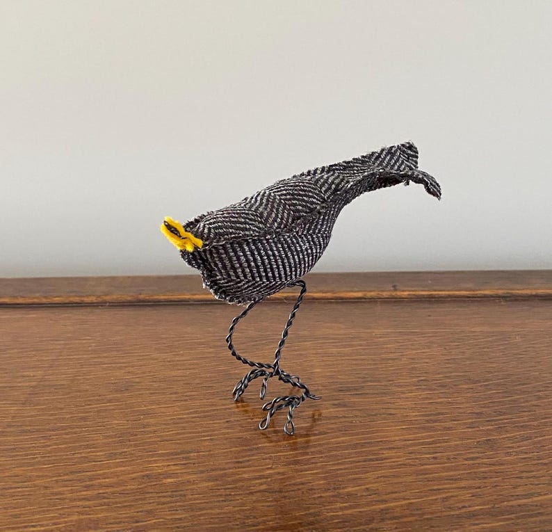 K&ouml;nnte beinhalten: Ein schwarz-wei&szlig; gemusterter Vogel mit gelbem Schnabel und Drahtbeinen. Der Vogel steht auf einer Holzoberfl&auml;che.