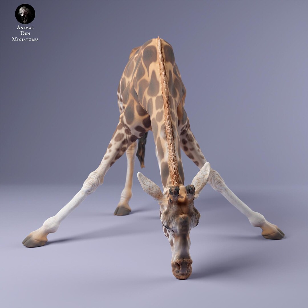 Rothschild's Giraffe Drinking by Animal Den Miniatures Animals ...