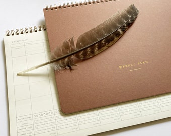 Weekly Planner, 6 Months, Undated Sheets, Calendar Task and To-Do List Planner, 8.5x11 size, Gold Spiral Bound