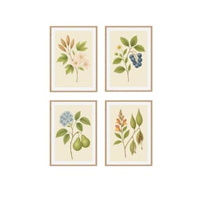 Vintage Botanical Wildflower Prints: Set of 4, Nature Wall Art (Digital Download)