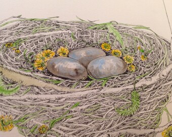 Birds Nest Original Ink and Watercolor - The Flower Thief Nest