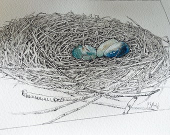 Watercolor Birds Nest Robin Eggs Original