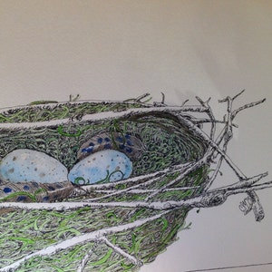 Birds Nest with Feathers and Eggs Original Watercolor and Ink image 2