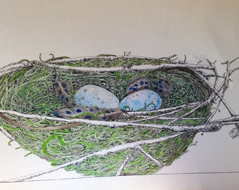 Birds Nest with Feathers and Eggs Original Watercolor and Ink