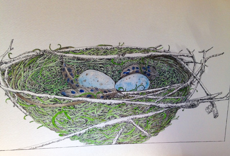Birds Nest with Feathers and Eggs Original Watercolor and Ink image 1