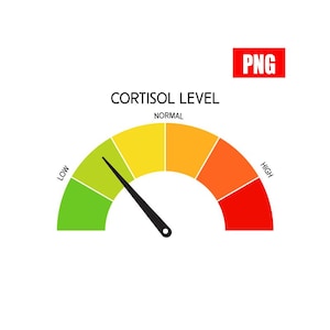Könnte beinhalten: Eine Grafik, die den Cortisolspiegel veranschaulicht, mit einem Messgerät und einer schwarzen Nadel, die auf das 'niedrige' Ende einer farbcodierten Skala zeigt. Die Skala reicht von grün (niedrig) bis rot (hoch), mit dem Text 'Cortisolspiegel'. Ein rotes 'PNG'-Logo oben rechts.