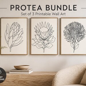 Puede incluir: Un conjunto de tres láminas de arte mural imprimibles tituladas PROTEA BUNDLE Set of 3 Printable Wall Art. Cada lámina presenta un dibujo de líneas negras de una flor protea diferente sobre un fondo crema, en marcos de madera finos.