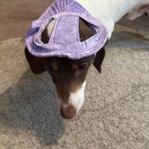 Cute Dog Hat For Small or Large Breeds, Handmade Pet Hat For Photoshoots, Gifts For Summer, Fun Puppy Accessory For Dogs