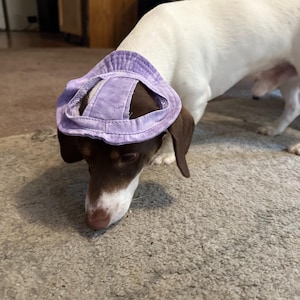 Cozy Pet Hat for Dogs & Cats,Soft Comfortable Style Headwear for Small to Medium Pets,Adjustable Pet Hat for Dogs,Stylish Functional Pet Cap