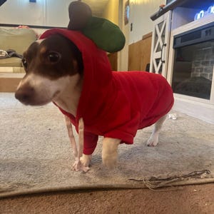 Red Apple Dog Costume, Cute Fruit-Inspired Pet Outfit with Leaf Hood, Soft & Lightweight, Funny Dog Dress-Up for Photoshoots or Daily Fun