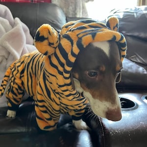Tiger Dog Costume, Dinosaur Dog Costume, Pig Dog Costume, Cow Dog Costume, Multiple Dog Costumes, Smaller Dogs Dog Costume,Small Dog Costume