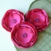 see more listings in the Large flowers (2.5") section