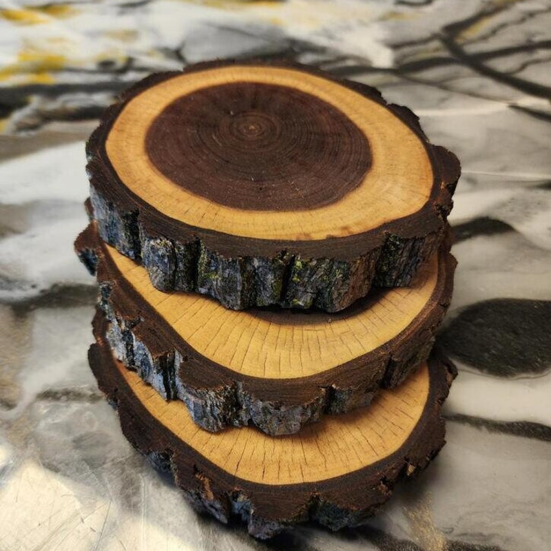 Walnut Rounds Black Walnut Slices - Etsy