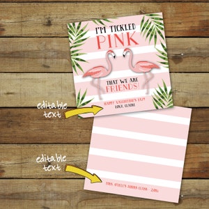 Flamingo Valentine's Day Card Printable Flamingo Valentine I'm Tickled Pink valentine editable pdf instant download image 2