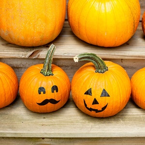 Halloween Pumpkin Stickers, Pumpkin Decals, Pumpkin Face Stickers, Jack ...