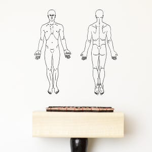 Stempel des menschlichen Körpers, Stempel der körperlichen Anatomie, Arzt oder Arzt Stempel