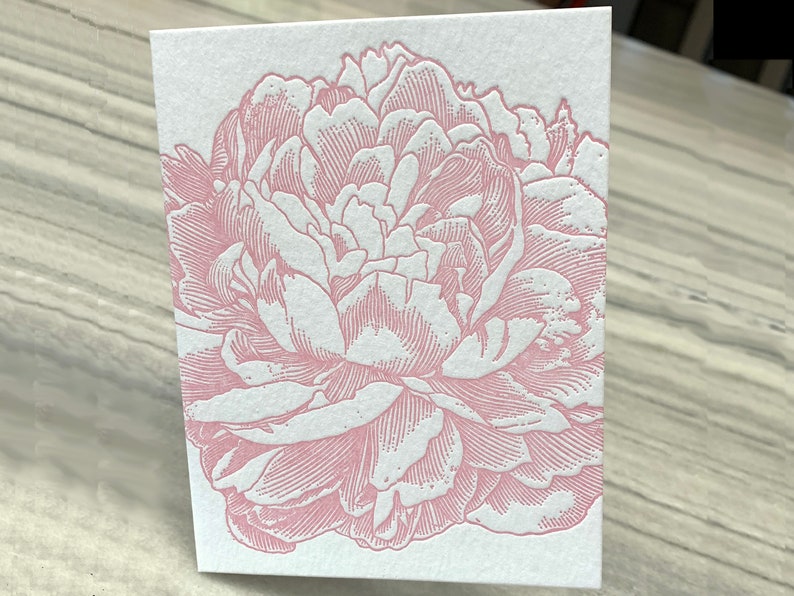 Peony letterpress folded note card from vintage engraving image 2